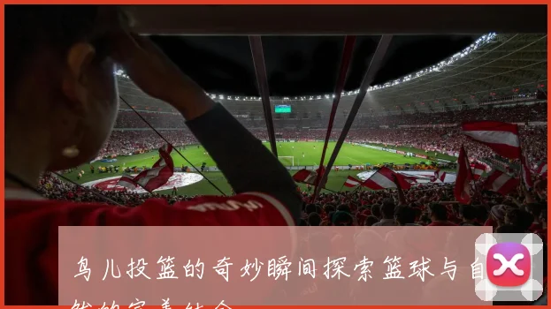 鸟儿投篮的奇妙瞬间探索篮球与自然的完美结合