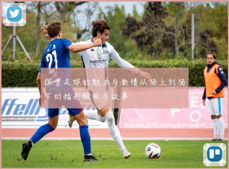 探索足球的魅力与激情从场上到场下的精彩瞬间与故事