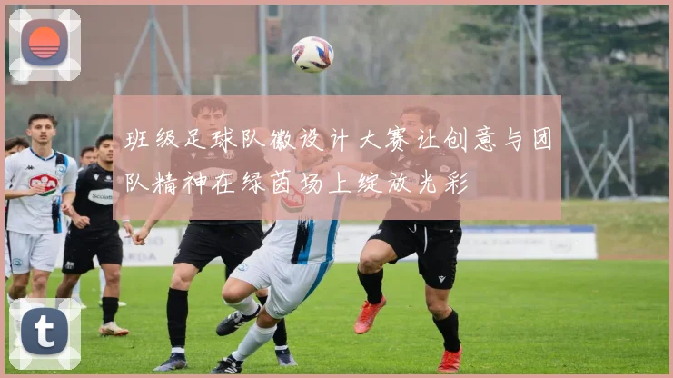 班级足球队徽设计大赛让创意与团队精神在绿茵场上绽放光彩