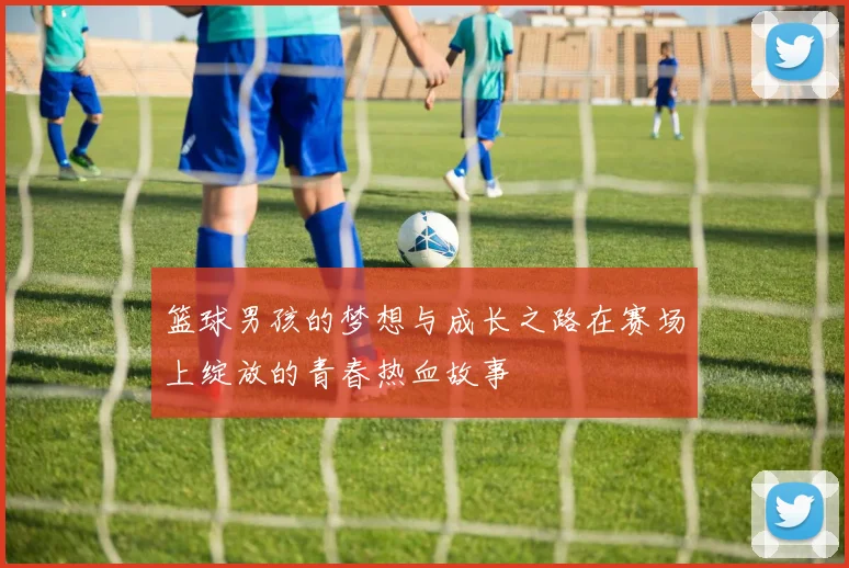 篮球男孩的梦想与成长之路在赛场上绽放的青春热血故事
